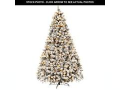 Lot 74-11059261 - undefined