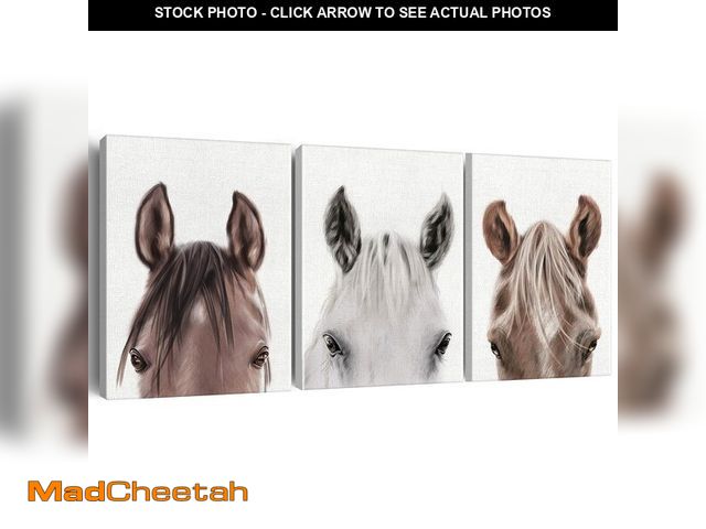 Lot 74-14209676 - Horse Wall Art Decor Set of 3 Modern Animals Horse Canvas Painting Pictures Framed Horses Canvas Pri...
