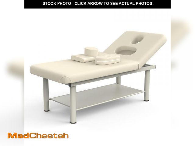 Lot 74-12540095 - Dolonm Beige Gray Stationary Professional Massage Table with Backrest for Treatment Table Physical T...