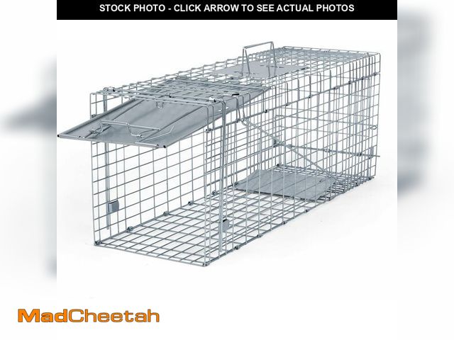 MadCheetah.com - Lot 74-12901964 - Humane Way Folding 32 Inch Live ...