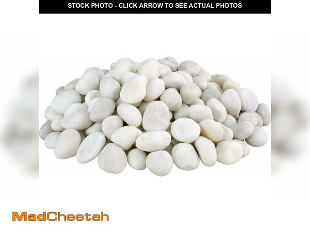 Lot 74-14349802 - VINICS 20lbs White Pebbles for Indoor Plants, 1-2 Inch Natural River Rocks, Hand-Picked Premium Ston...
