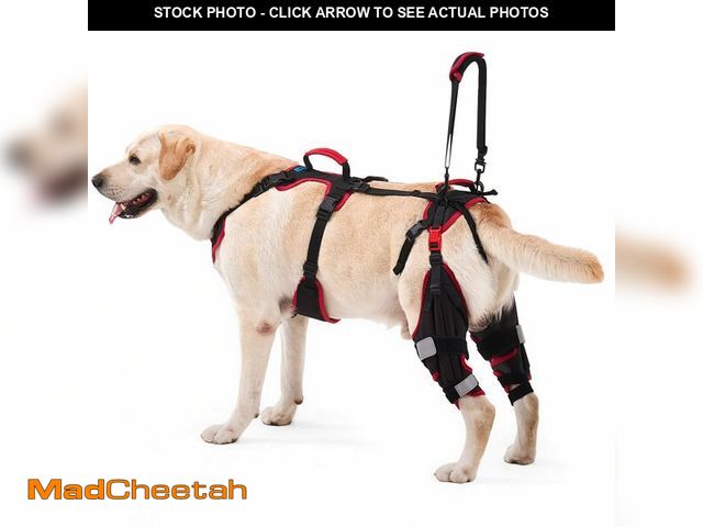 Lot 74-14149525 - Lafoty Dog ACL CCL Knee Brace for Large Dogs, Set of 2 Hind Leg Braces with Handles &amp; Shoulder S...
