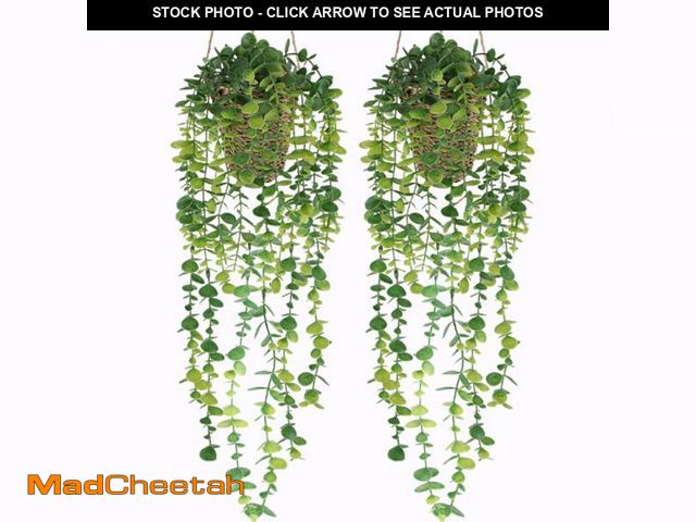 Lot 74-11554369 - Nisoger Fake Hanging Plant with Woven Basket, 2 Pack Artificial Hanging Plants, Faux Vines Eucalyptu...