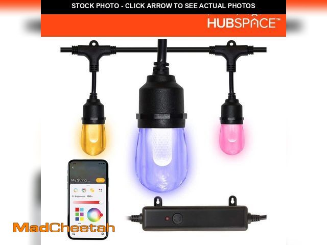 Lot 74-12765729 - Hampton Bay Indoor/Outdoor 12-Light 24 ft. Smart Plug-in Edison Bulb RGBW Color Changing LED String ...