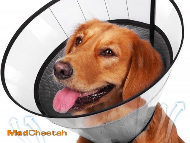 Lot 74-12323826 - BARKLESS Soft Dog Cone, Soft Cone for Large Dogs to Stop Licking Biting Wounds, Breathable Surgical ...