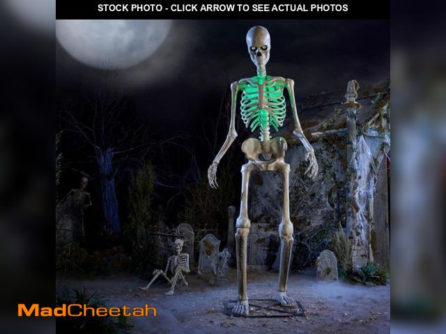 Lot 74-14605093 - Home Accents Holiday 12 FT Giant-Sized Animated LED App Controlled  Skelly with LCD LifeEyesÃ¢âÂ¢ ...