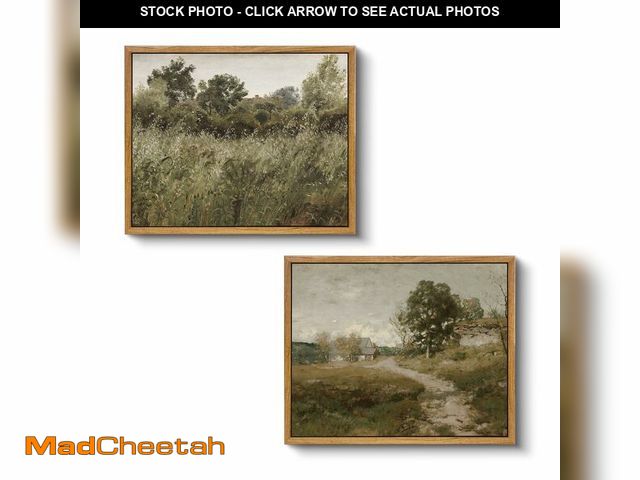 Lot 74-14303636 - VIYYIEA 2 Pcs Vintage Framed Wall Art, Country Road and Grassland Painting Decor Aesthetic, Small Ca...