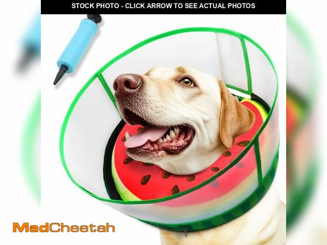 Lot 74-14482117 - Upgraded Inflatable Dog Cone Collar with Transparent Anti-Licking Shield, Adjustable Elizabethan Col...