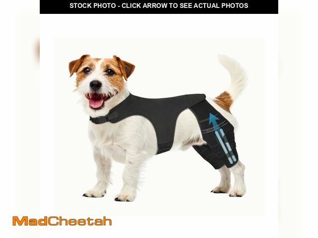 Lot 74-12845277 - Pawfun Dog Knee Brace for Hind Leg Ã¢â¬â Adjustable Dog Rear Leg Support Brace with 4 Metal Stabi...