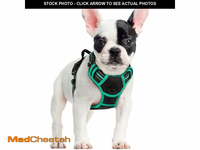 Lot 74-14338749 - rabbitgoo Dog Harness No Pull with 2 Leash Clips, Adjustable Soft Padded, Reflective Oxford No Choke...