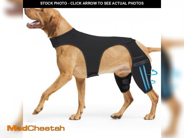 Lot 74-12218186 - Marnonsis Dog Knee Brace ACL Brace for Dogs Rear Leg &amp; Hip Support Solution to Reduce Joint Pain...