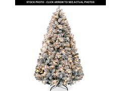 Lot 74-12634921 - undefined