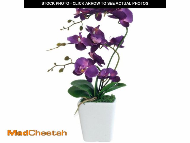 Lot 74-13998202 - YSZL 15" Tall Artificial Silk Phalaenopsis Orchid Flower Plant Pot Arrangements (Dark Purple) - UNUS...
