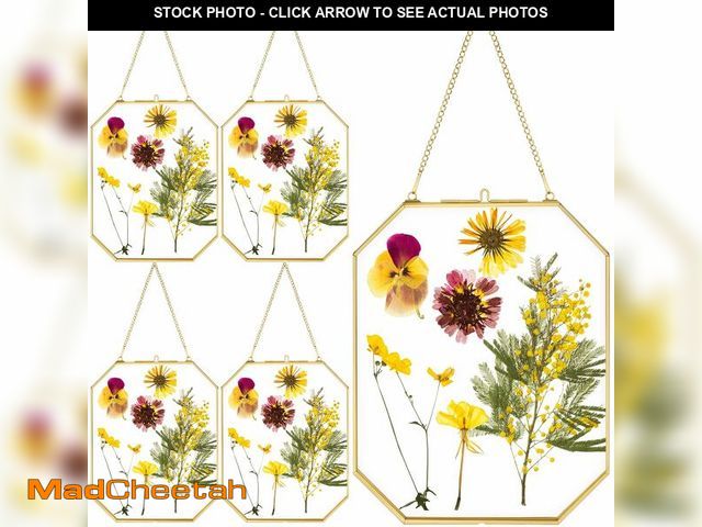 Lot 74-14214879 - Vicenpal 5 Pcs 8 x 10 Inches Glass Pressed Flower Frame, Hanging Floating Picture Frame for Tabletop...