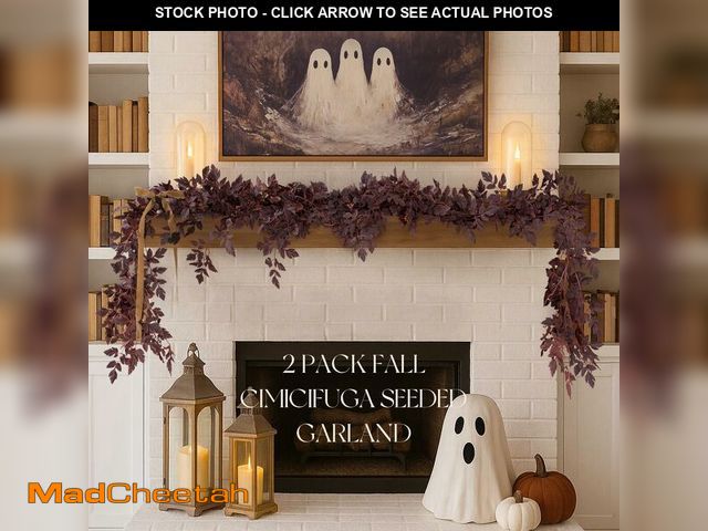Lot 74-12602648 - Fall Decorations for Home - Fall Decor - Fall Deals Set of 2 6 Ft Plum Cimicifuga Seeded Garlands - ...