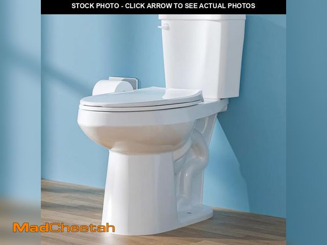 Lot 74-12164255 - Elongated Tall Toilet 19 Inch, ADA High Toilets for Bathroom, Comfort Bowl Heigh 19", Single Flush 1...