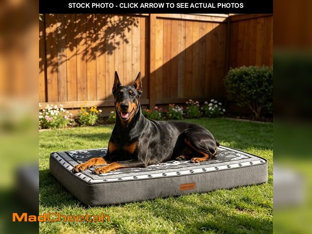 Lot 74-14208437 - EXPAWLORER Outdoor Dog Bed Small Medium Size Dogs, Waterproof Orthopedic Pet Mattress with Removable...