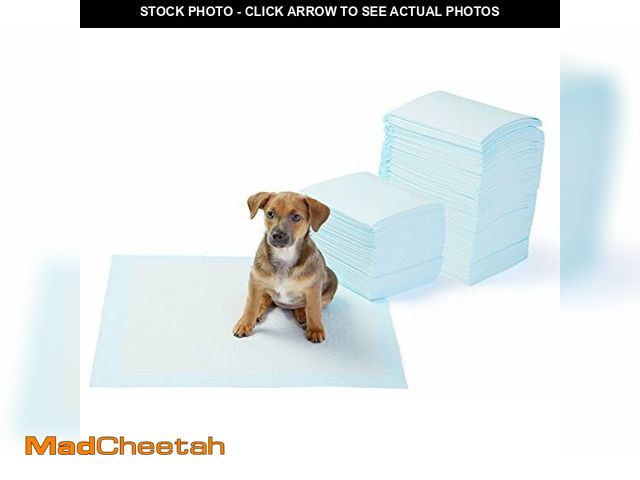 Lot 74-12759875 - Basics Dog and Puppy Pee Pads, 5-Layer Leak-Proof Super Absorbent, Quick-Dry Surface, Potty Training...