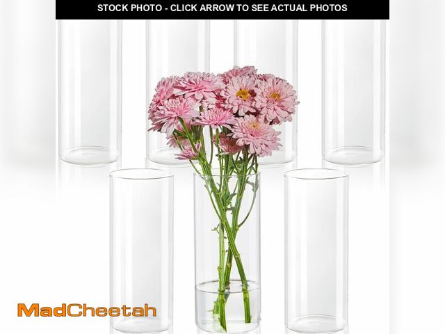 Lot 74-12602267 - DYMFADFB 7pcs Glass Cylinder Vases for Centerpieces - 8 Inch Tall Glass Vases for Flower, Clear Flow...