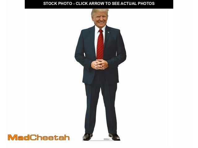 Lot 74-12833734 - Advanced Graphics Lifesize Donald Trump Standup Cardboard, 74" - UNUSED
