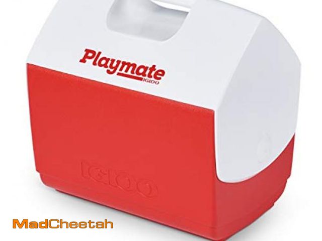 Lot 74-12137012 - Igloo Playmate - UNUSED