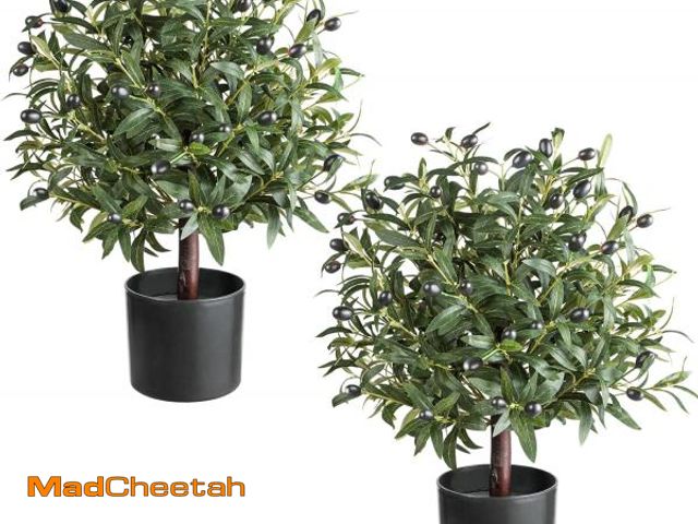 Lot 74-12043536 - 25" Tall Artificial Olive Topiary Ball Tree Set of 2 Pack, Olive Boxwood Topiary Ball Potted Bushes ...