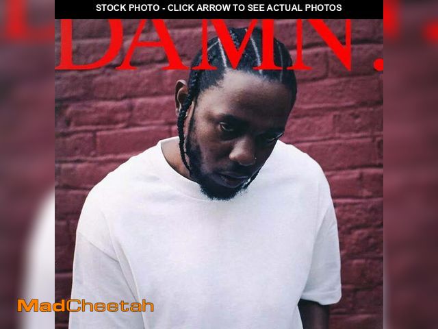 Lot 74-12859803 - Kendrick Lamar - Damn. - Music &amp; Performance - Vinyl - UNUSED