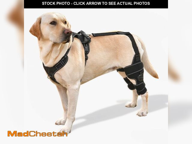 Lot 74-12712115 - FurWell Dog Knee Brace with Adjustable Support Ã¢â¬â ACL &amp; CCL Tear Recovery, Post-Surgery St...