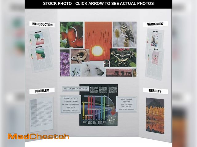 Lot 74-13733731 - Flipside Products 36" x 48" Project Boards for Presentations, Science Fair, School Projects, Event D...