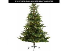 Lot 74-12695807 - undefined