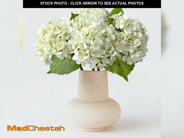 Lot 74-14387455 - ZYTUYO 20 inches 4 Pcs Ivory White Real Touch Hydrangea Artificial Flowers Boho Lifelike Real Lookin...