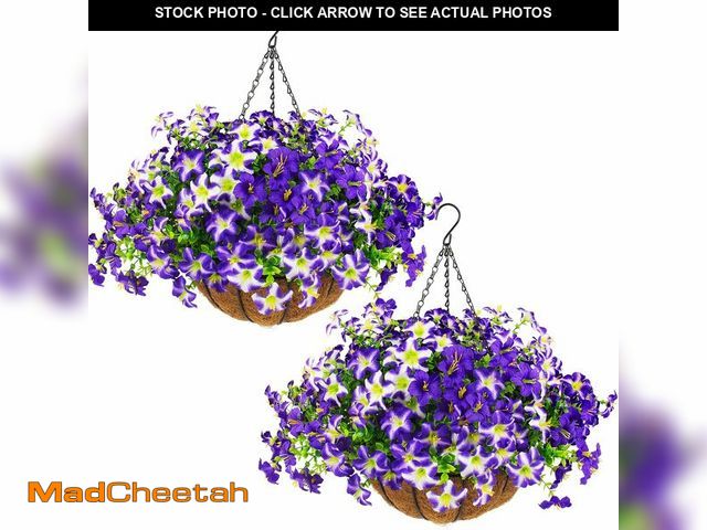 Lot 74-14329943 - 2 Set Artificial Petunias Flowers with Hanging Baskets, 24 Pcs Silk Petunia UV Resistant Purple Faux...