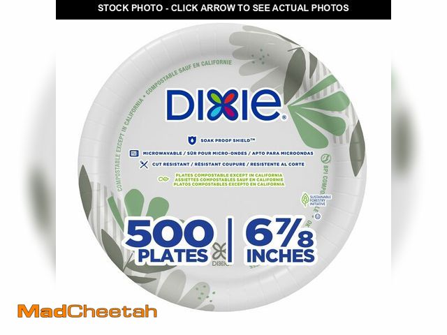 Lot 74-14379714 - Dixie 6.8 Inch Medium-Weight Paper Plates By GP PRO, Pathways Botanical Design, 500 Count (125 Dispo...