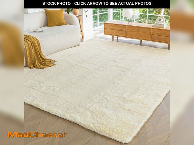 Lot 74-12766795 - Sonive 8Ã10 Feet Fluffy Shaggy Area Rug, Washable Rug Modern Soft Large Neutral Non-Slip for Bedroo...