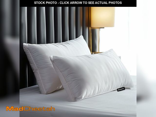 Lot 74-12695391 - Beautyrest Hotel Collection Fluffy Luxury Goose Feathers Medium Firm Hypoallergenic Pillow, 500 Thre...