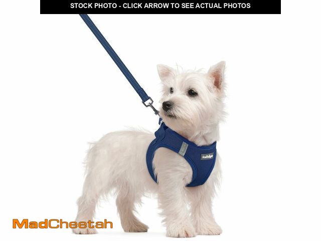 Lot 74-12705083 - rabbitgoo Dog Harness Small Sized and Leash Set, Step in Soft Light Puppy Vest, Breathable Mesh Pet ...
