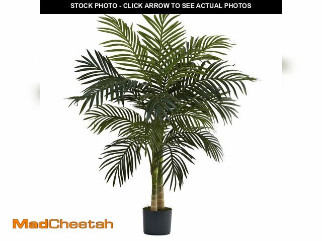 Lot 74-13064243 - 4ft Golden Cane Palm Double Stalk Artificial Tree with Lush Realistic Foliage - Maintenance-Free Ind...