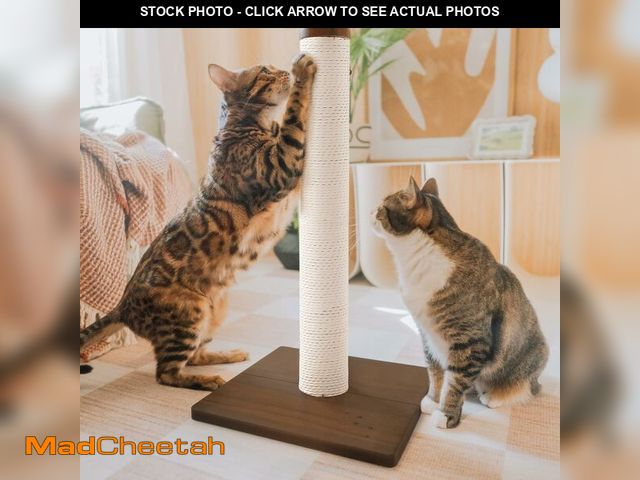Lot 74-12704056 - Necoichi 23.6Ã¢â¬Â Tall Cat Scratching Post Kitten Scratcher Paper Rope Scratch Posts Trees with H...