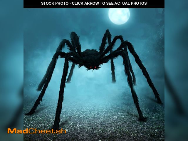 Lot 74-12702274 - JOYIN Halloween Outdoor Decorations Giant Spider, 5 Ft Large Spider for Yard Lawn Garden Patio Scary...