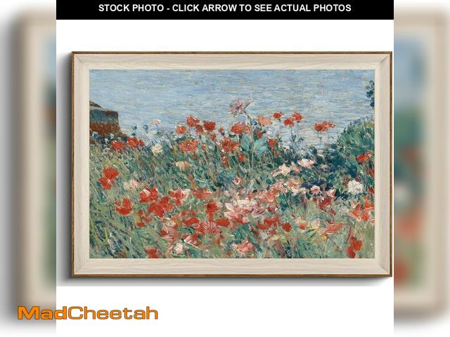 Lot 74-13836012 - KISSFOX Framed Wall Art Vintage Wall Decor Poppy Field Canvas Art Coastal Pictures Wildflowers Paint...