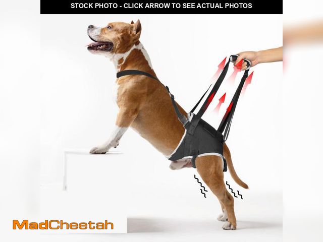 Lot 74-11559191 - XUVIRA Adjustable Dog Rear Leg Support Harness - Great for Rehabilitation &amp; Mobility Aid, Comfor...