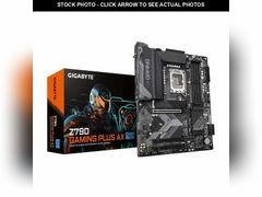 Lot 74-13625218 - undefined