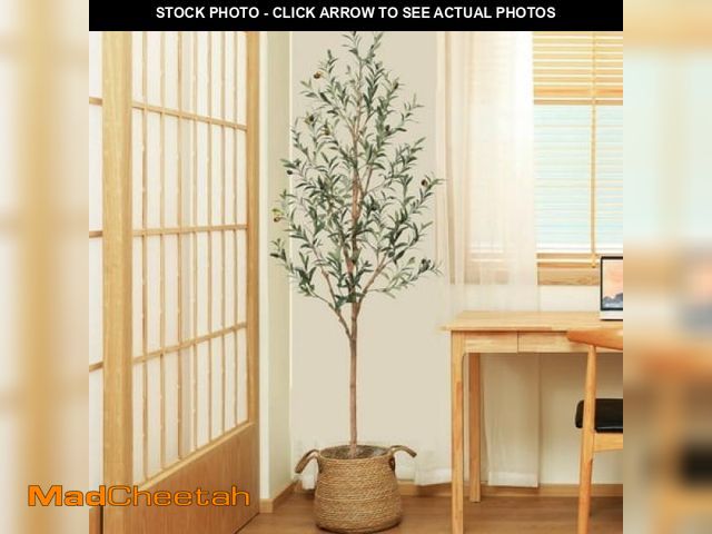Lot 74-12419981 - 6FT Artificial Olive Tree with Fruits and Wood Branches  Potted Faux Olive Plants. 10 Lb. DR.Planzen...