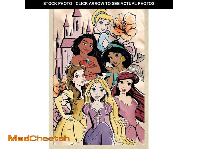 Lot 74-12632924 - (MISSING FRAME) Disney Ultimate Princess Celebration - Castle Group Wall Poster, 22.4L" x 14.7W", Bl...