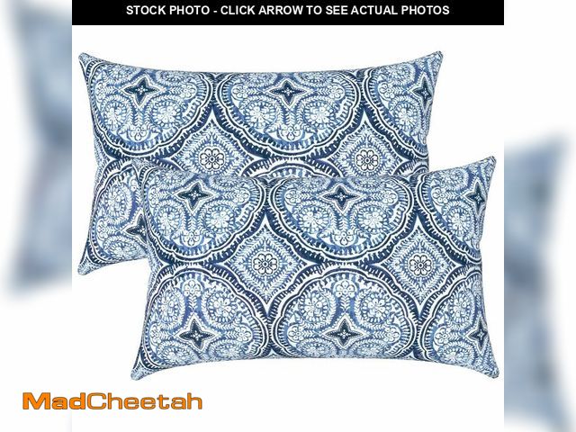 Lot 74-13962856 - LVTLVTXIII 12Ãâ20 Inch Outdoor Lumbar Pillows, Pack of 2 Water Repellent Lumbar Pillow with Inser...