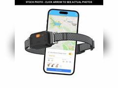 Lot 74-13455797 - undefined