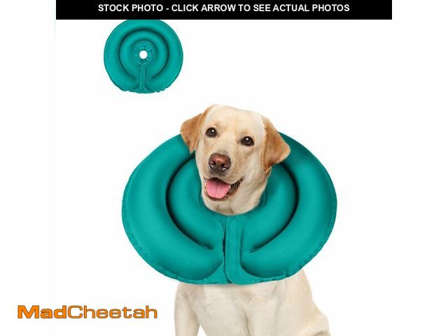 Lot 74-12605410 - MIDOG Cat Cone, Blue-XL - USED