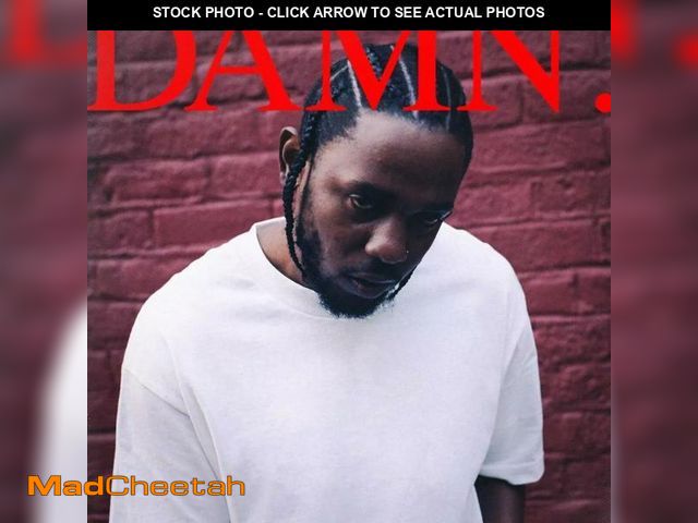 Lot 74-12421824 - Kendrick Lamar - Damn. - Music &amp; Performance - Vinyl - UNUSED