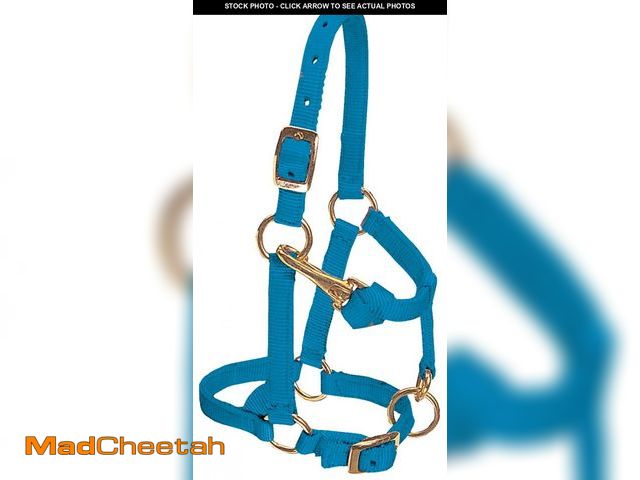 Lot 74-12315081 - Weaver Leather Nylon Miniature Horse Adjustable Halter - USED