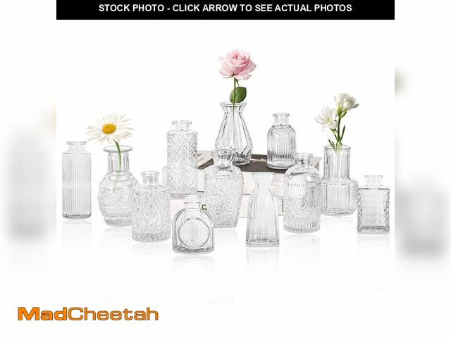 Lot 74-14384955 - Set of 12 Glass Bud Vase Set, Small Vintage Clear Flower Vase Centerpieces for Table Bulk Cute Rusti...